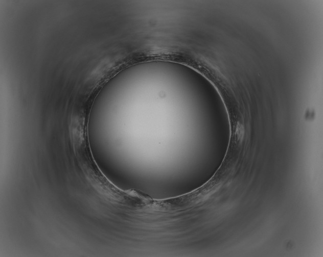 X0000093391348200710111507