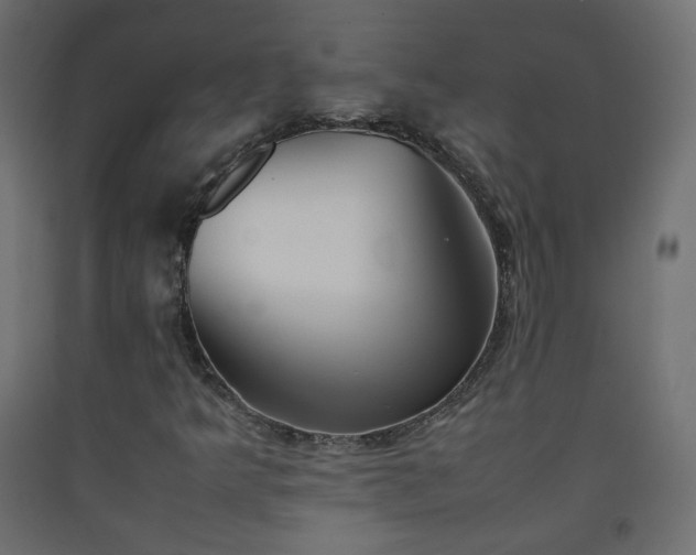 X0000093391349200710111507