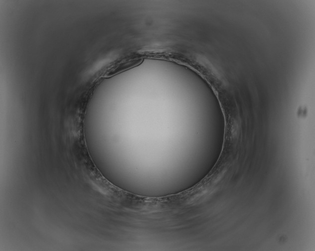 X0000093391350200710111507