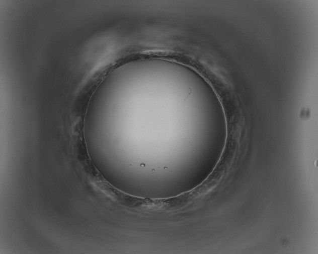 X0000093391351200710111507