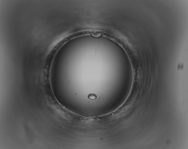 X0000093391352200710111507