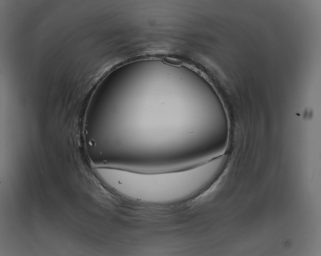 X0000093391353200710111507