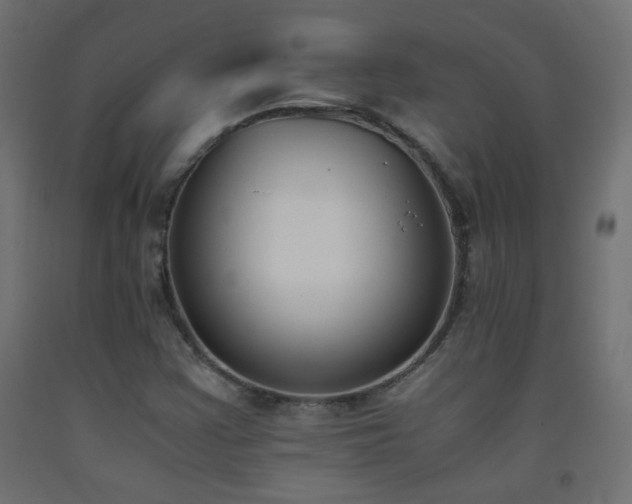 X0000093391355200710111507