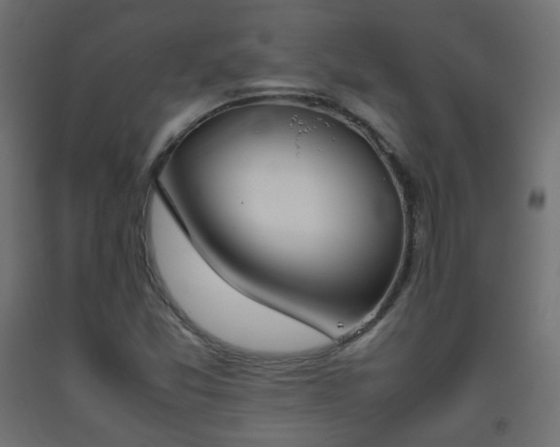 X0000093391357200710111507