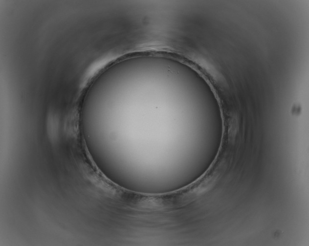 X0000093391358200710111507