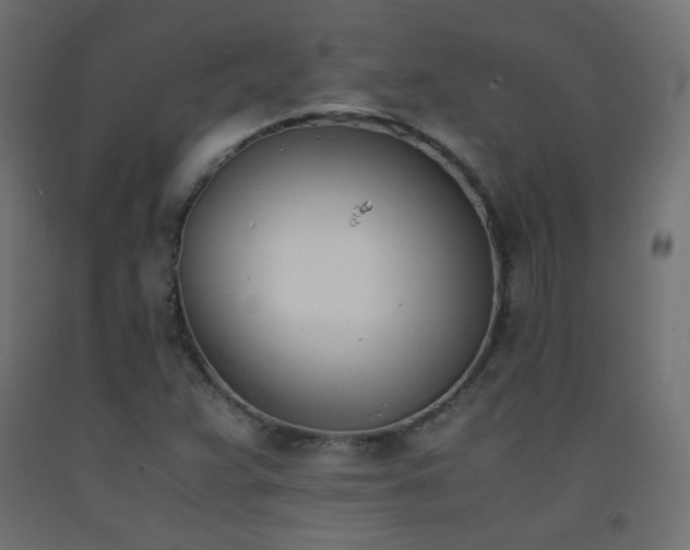 X0000093391359200710111507