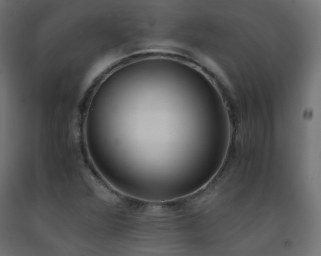 X0000093391360200710111507
