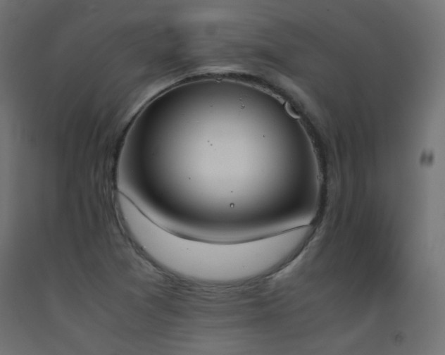 X0000093391361200710111507