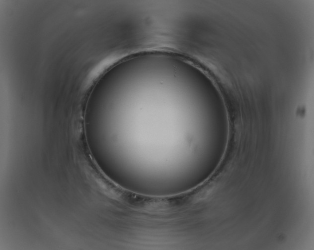 X0000093391363200710111507