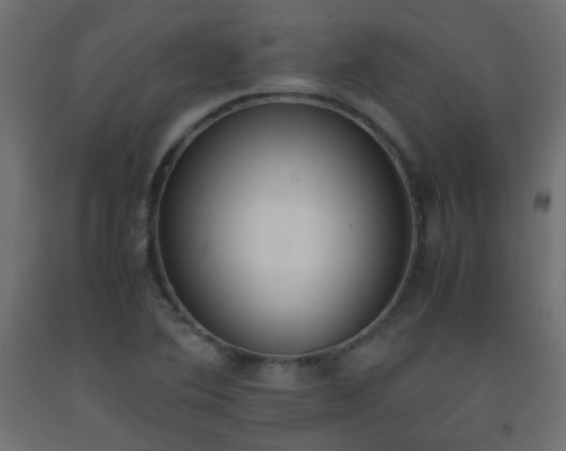 X0000093391364200710111507