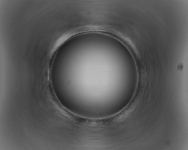 X0000093391365200710111507