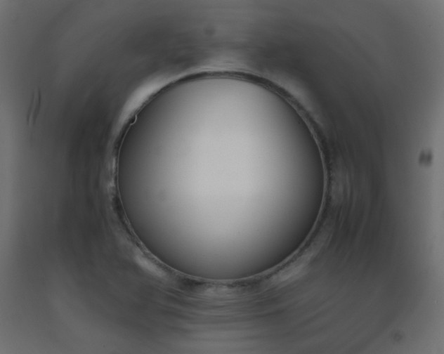 X0000093391366200710111507