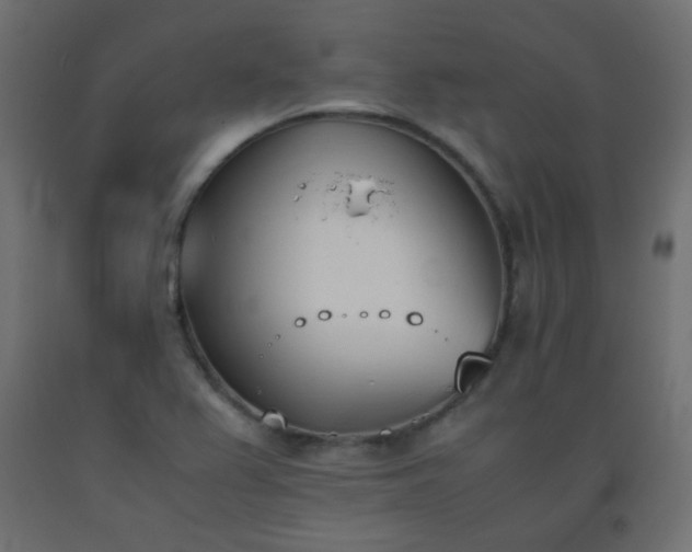 X0000093391367200710111507