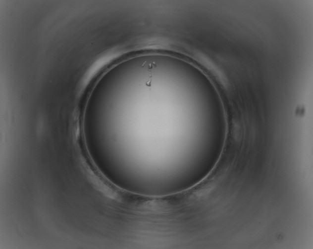 X0000093391368200710111507