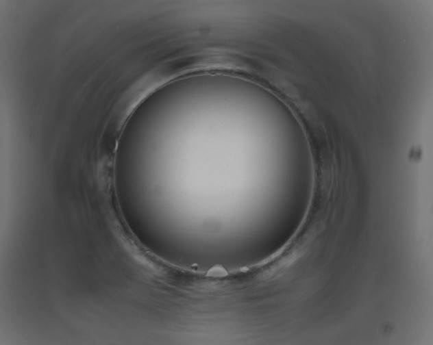 X0000093391369200710111507