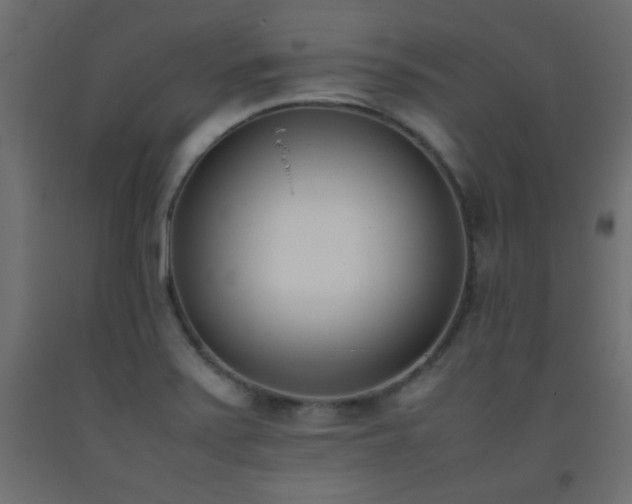 X0000093391371200710111507