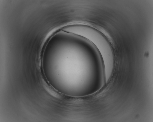 X0000093391372200710111507