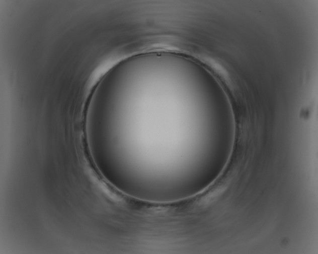 X0000093391373200710111507