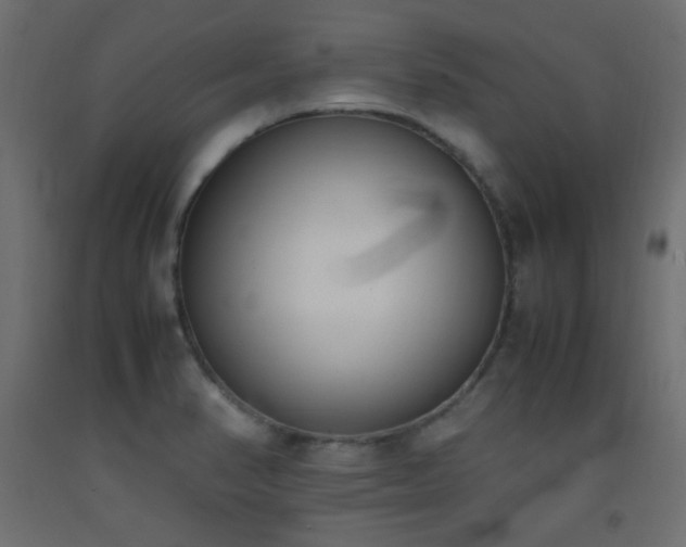X0000093391374200710111507