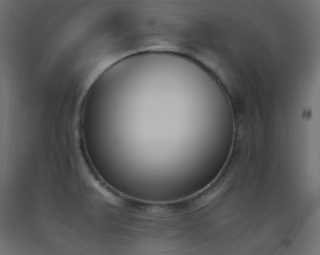 X0000093391375200710111507