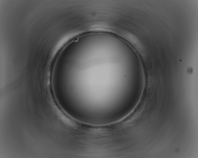 X0000093391376200710111507