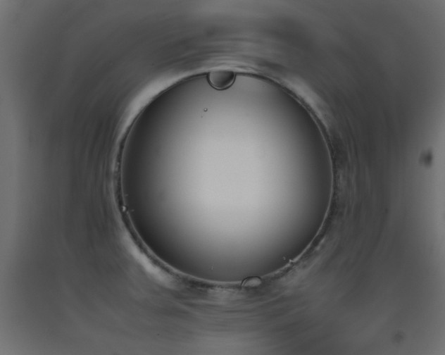 X0000093391379200710111507