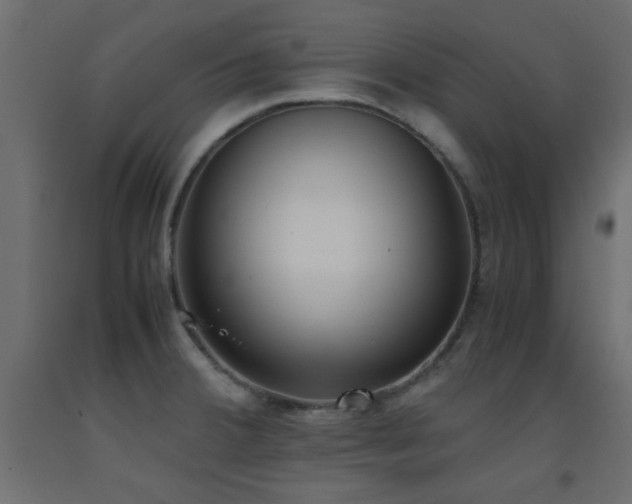 X0000093391380200710111507