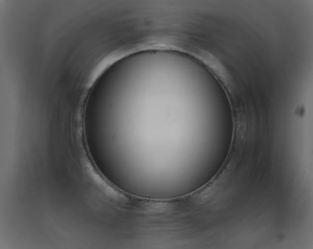 X0000093391382200710111507