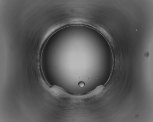 X0000093391384200710111507