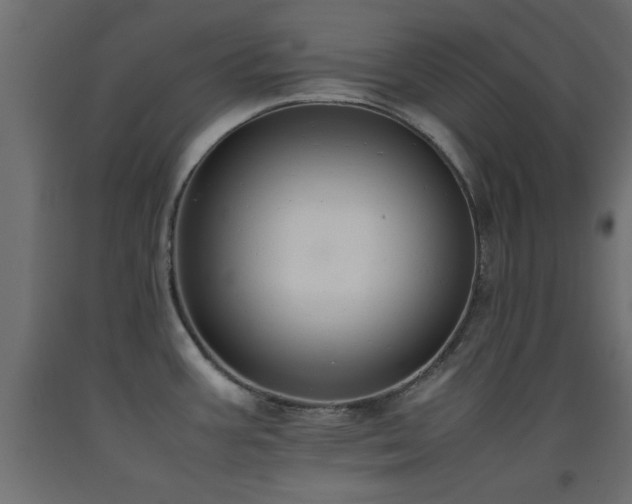 X0000093391387200710111507