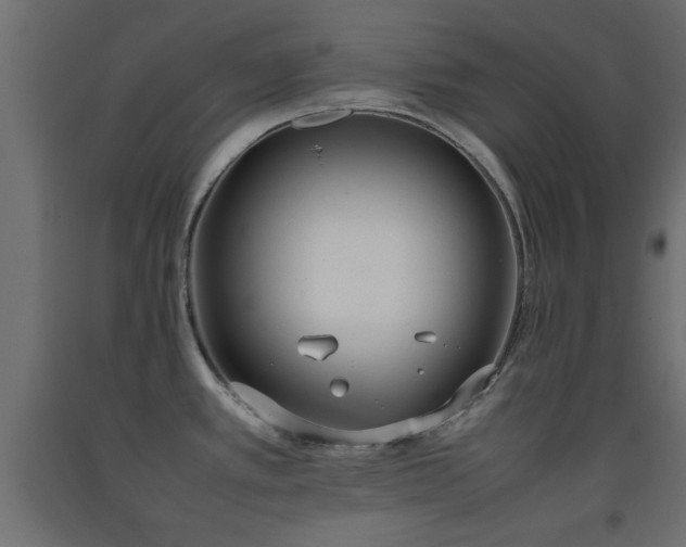 X0000093391389200710111507