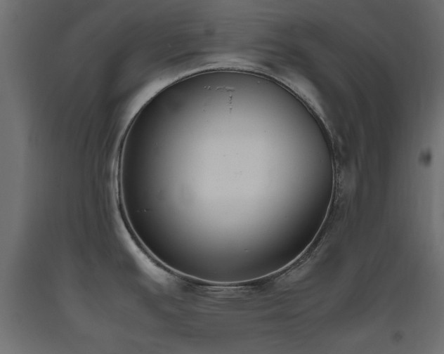 X0000093391391200710111507