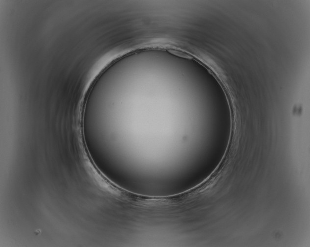 X0000093391392200710111507