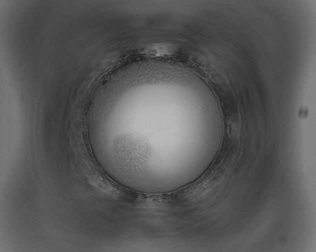 X0000093391393200710111506