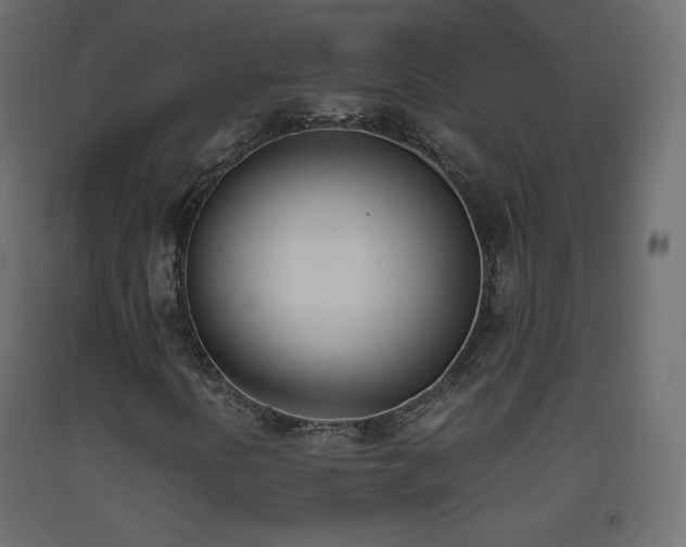 X0000093391394200710111506