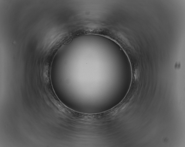 X0000093391396200710111506