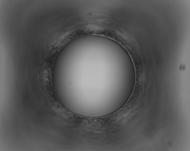 X0000093391397200710111506