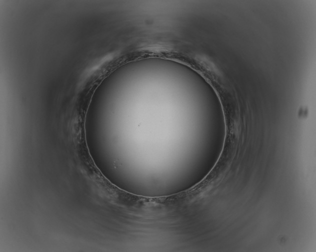 X0000093391398200710111506