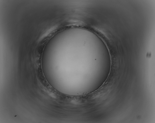X0000093391399200710111506