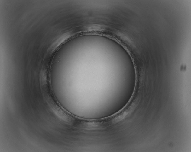 X0000093391401200710111506