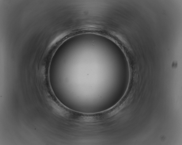 X0000093391402200710111506