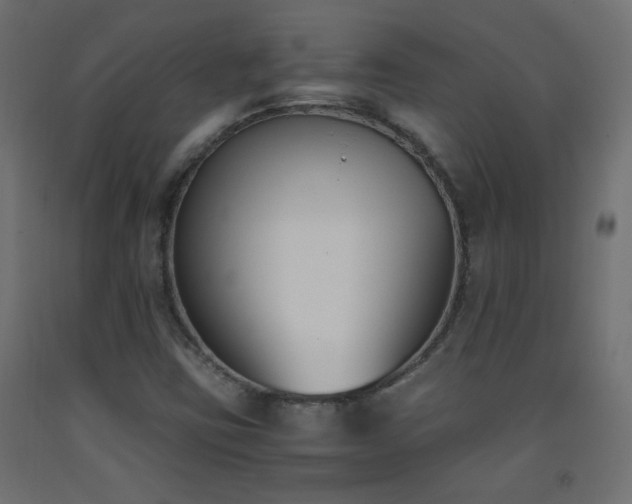 X0000093391403200710111506