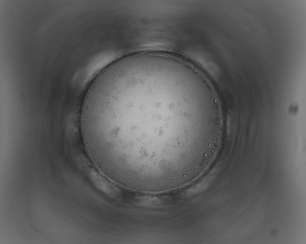 X0000093391405200710111506
