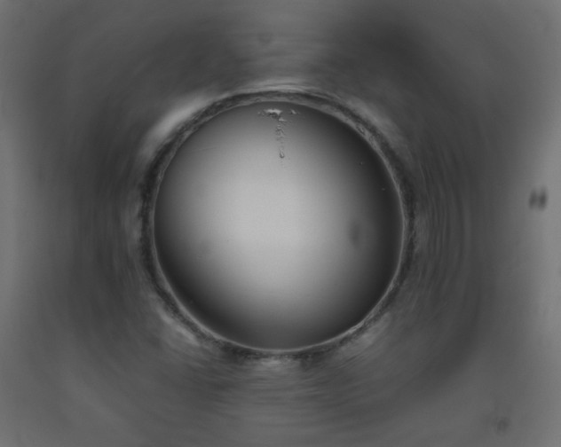 X0000093391406200710111506