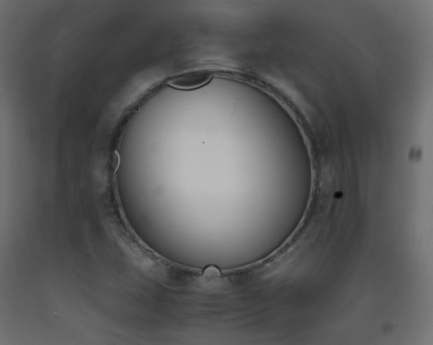 X0000093391407200710111506
