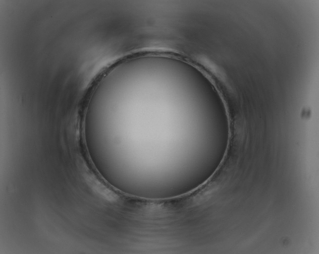X0000093391408200710111506