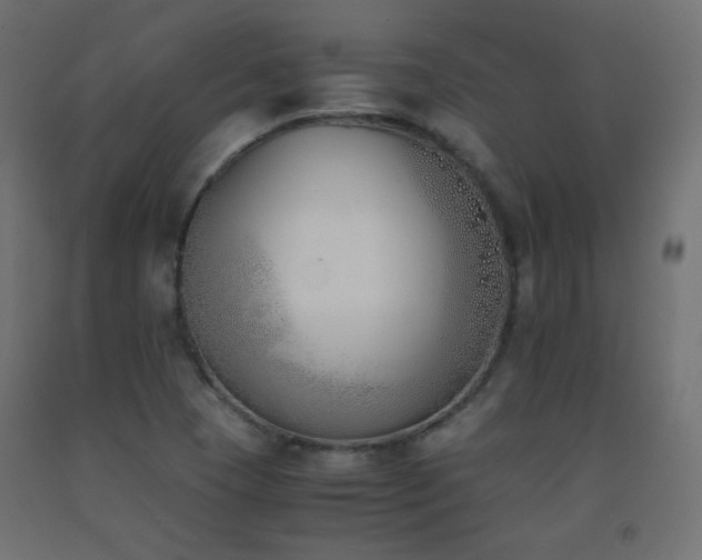X0000093391409200710111506