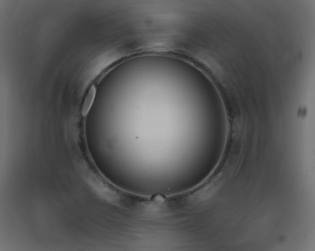 X0000093391410200710111506