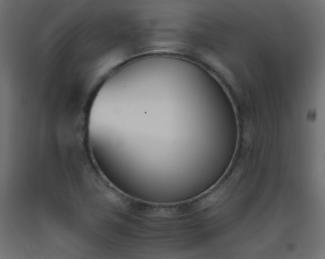 X0000093391411200710111506