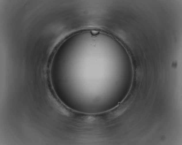 X0000093391412200710111506